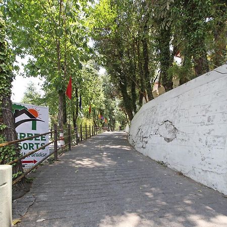 Oyo 5248 Surbee Resorts Mussoorie Esterno foto